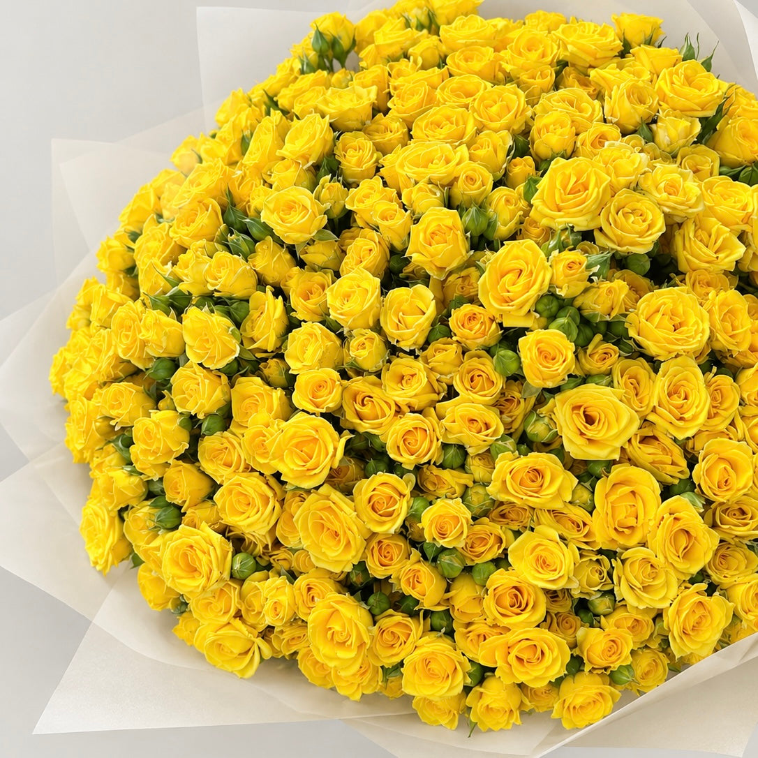 Golden Hour- Spray Roses