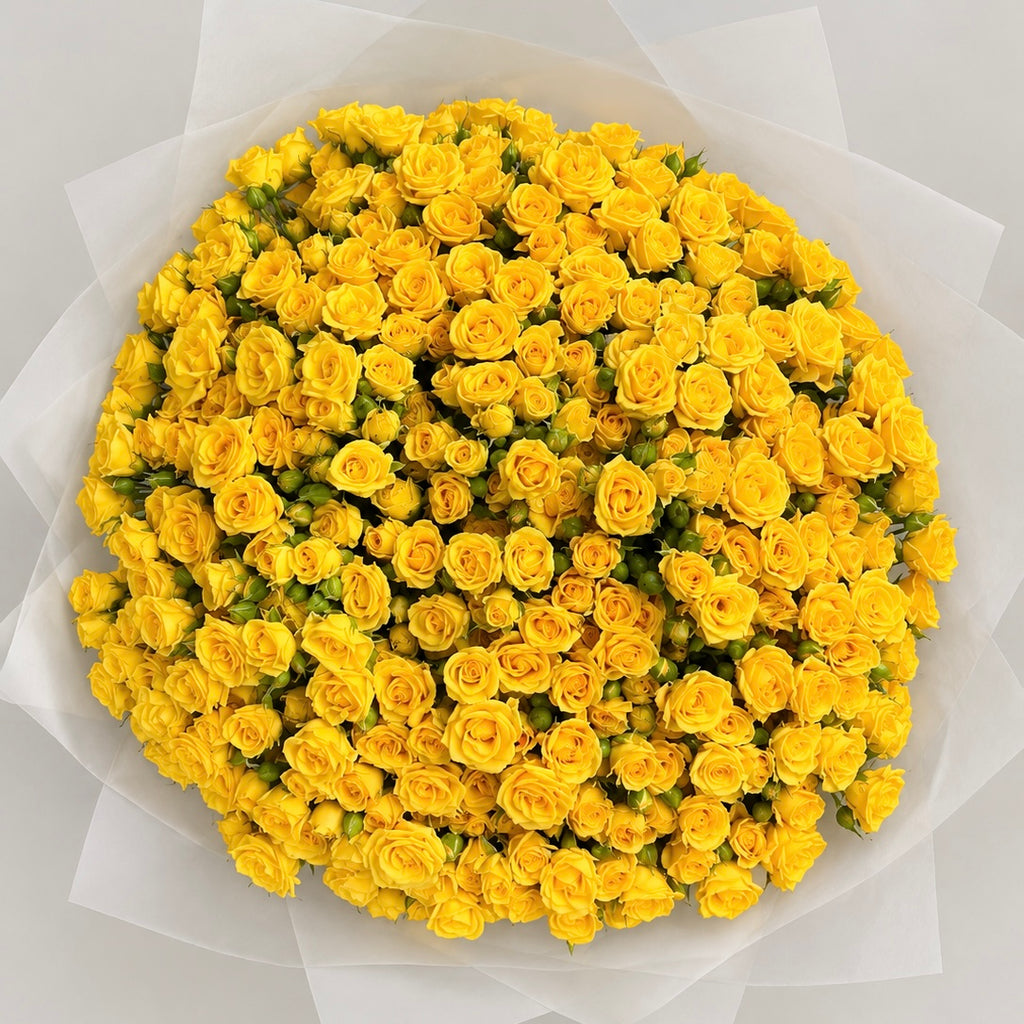 Golden Hour- Spray Roses