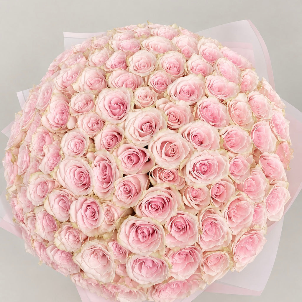 The Rosé Élan- Pink Avalanche Roses
