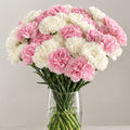 The Pink & Pearl