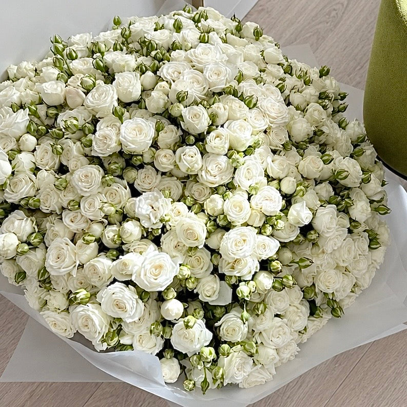 Pure Classic-White Spray Roses