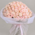 The Rosé Élan- Pink Avalanche Roses