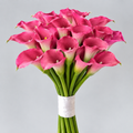 Fuchsia Calla Lily Bouquet