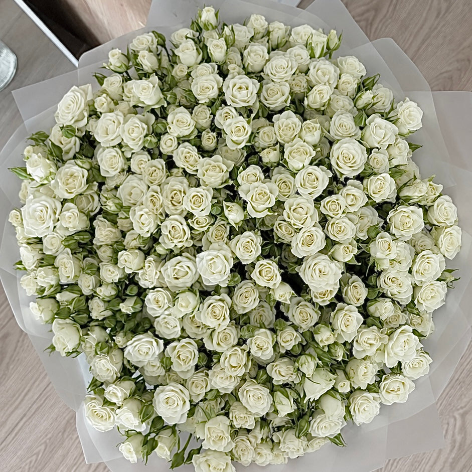 Pure Classic-White Spray Roses