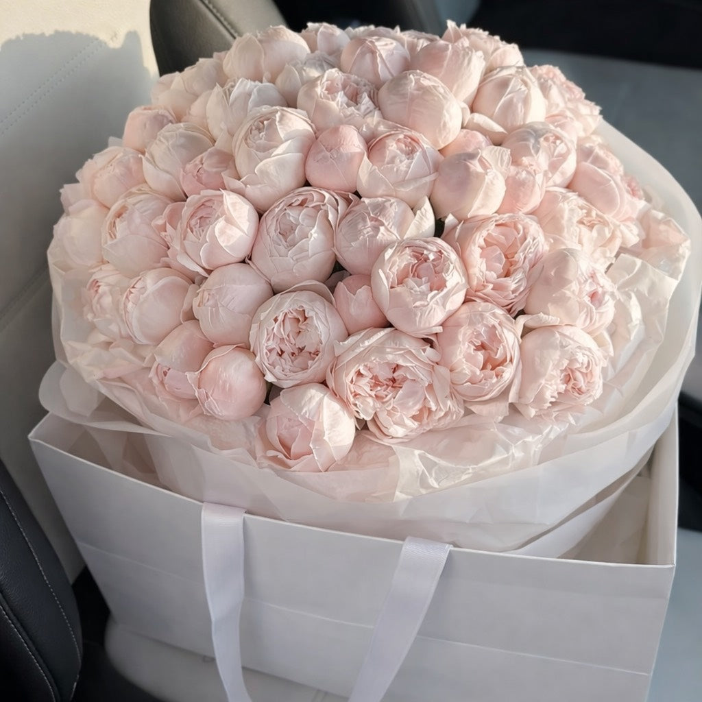 Rosa Eterna- Light Pink Peonies
