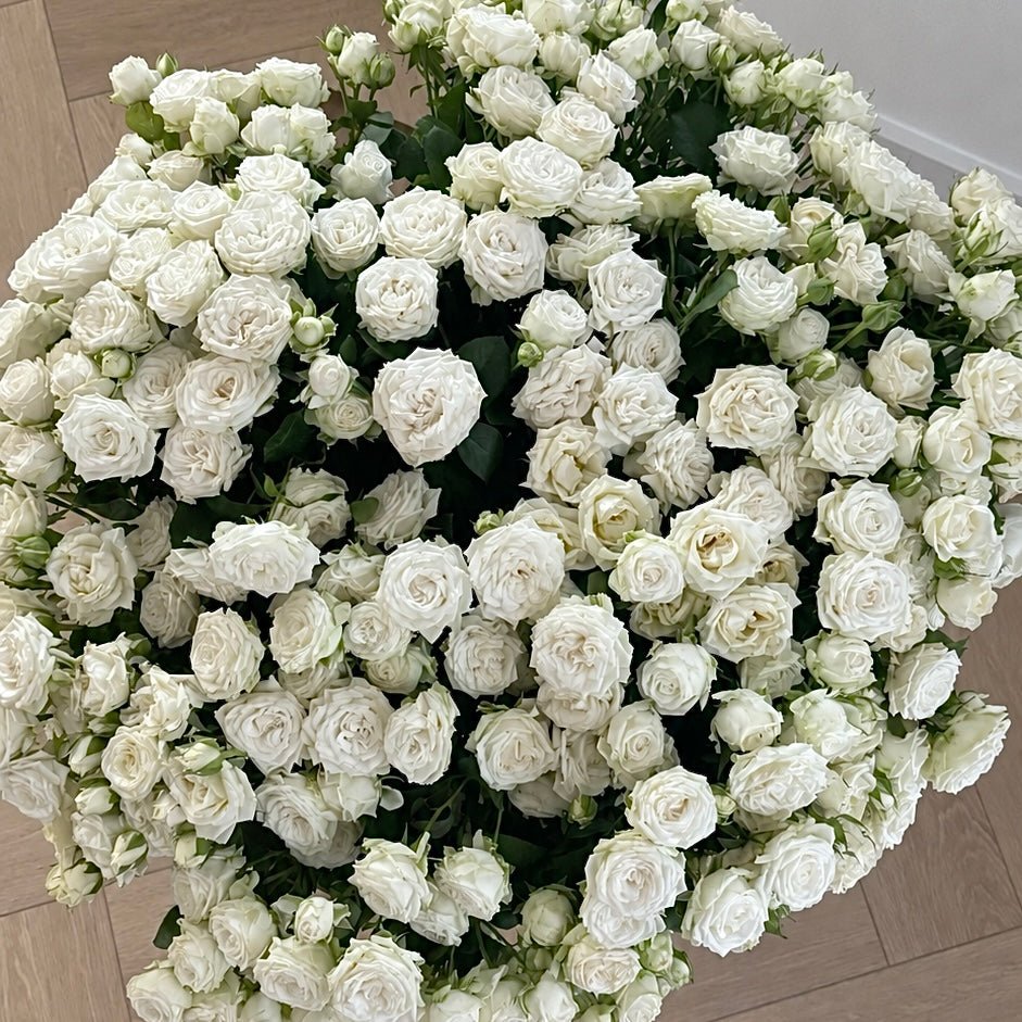 Pure Classic-White Spray Roses