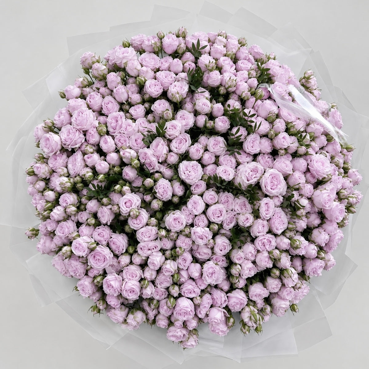 Lilac Whisper- Spray Roses