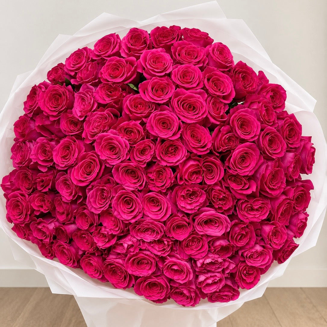 Pink Majesty- Roses