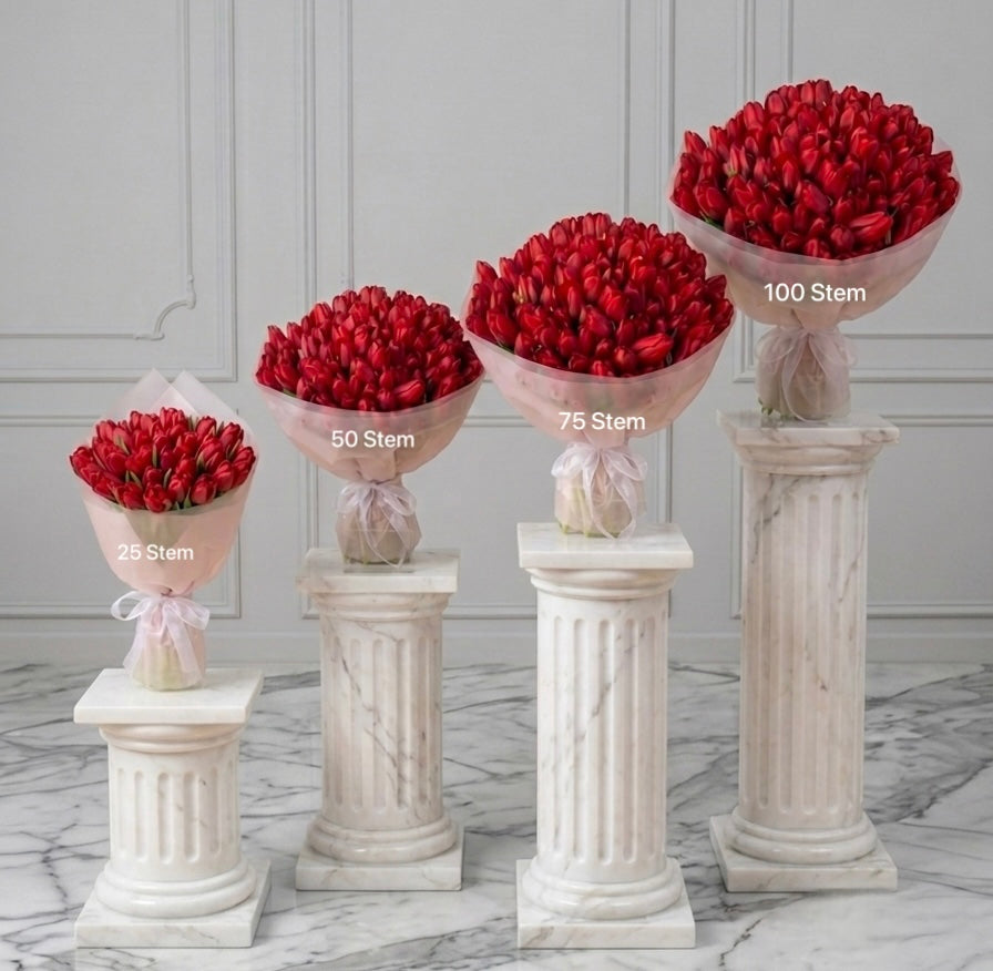 Scarlet Éclat-Red Tulips