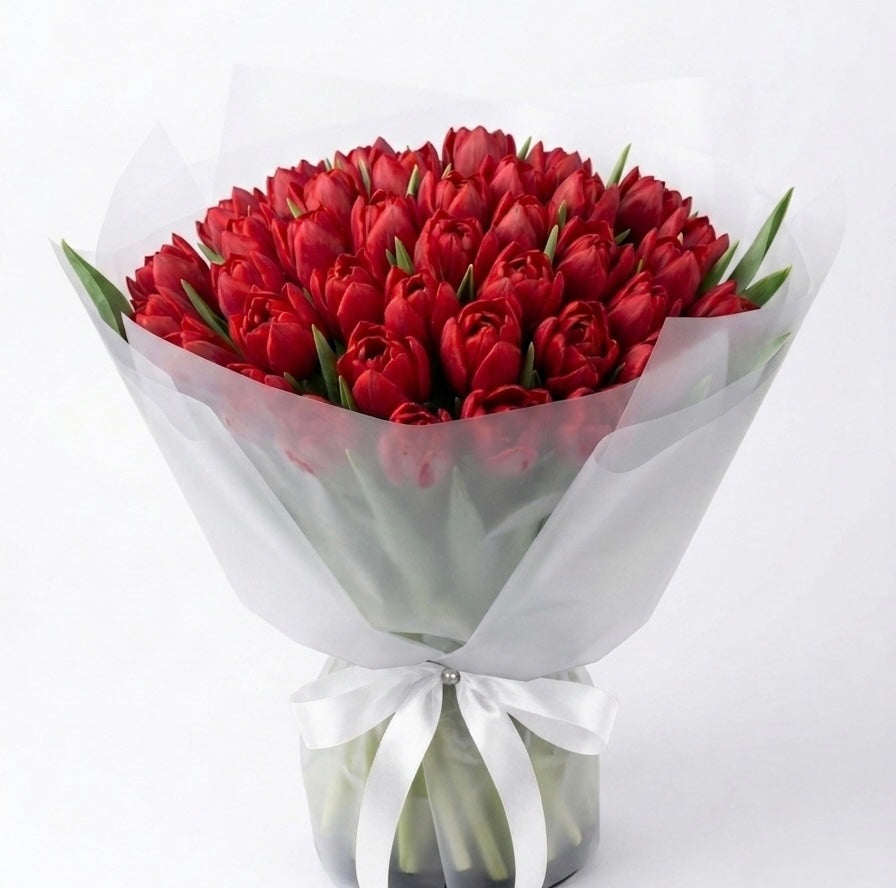 Scarlet Éclat-Red Tulips