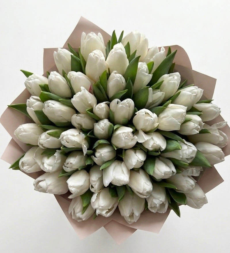 La Pureté Royal- White Tulips