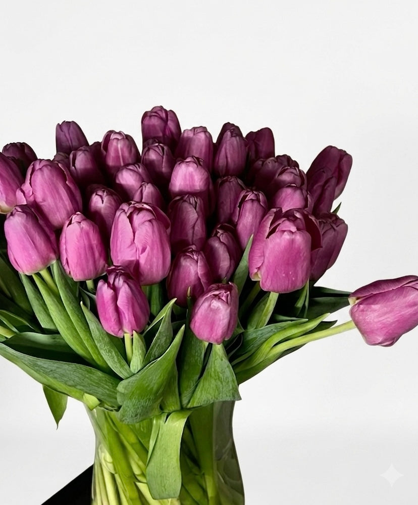 Purple Tulips