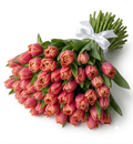 Pink and Orange Tulips