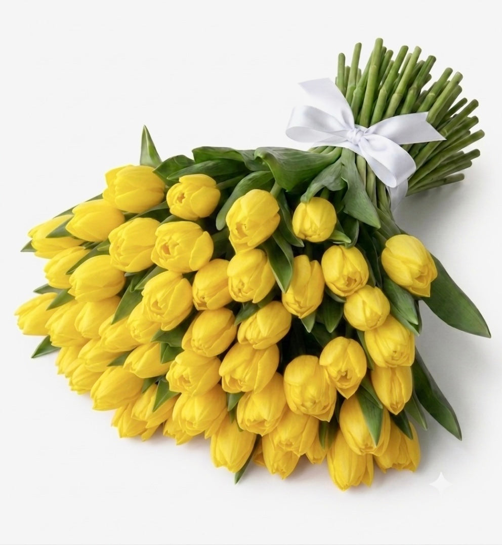 Yellow Tulips