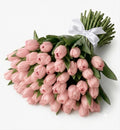 Ballet Slipper- Soft Pink Tulips