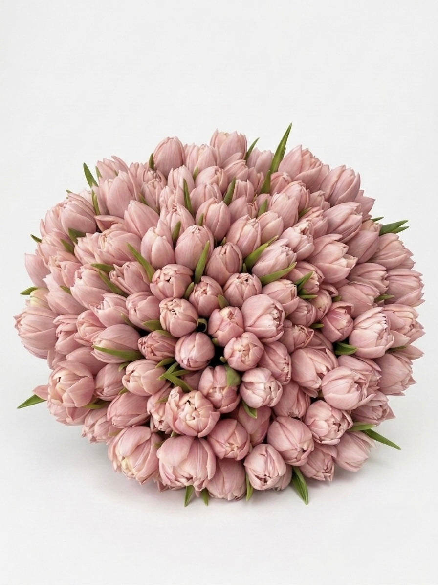 Ballet Slipper- Soft Pink Tulips