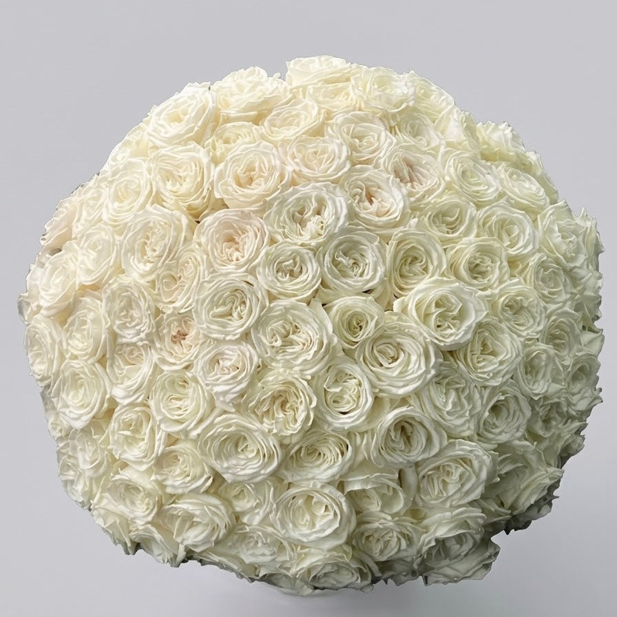 The Ivory Élan- Dorchester Champagne Roses