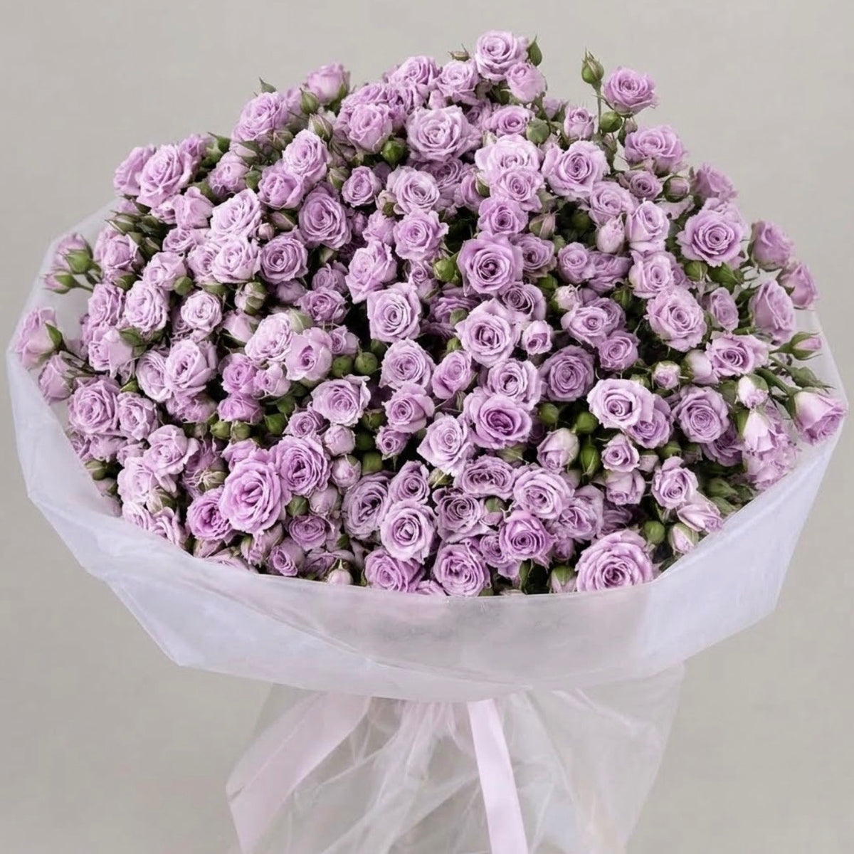 Lilac Whisper- Spray Roses