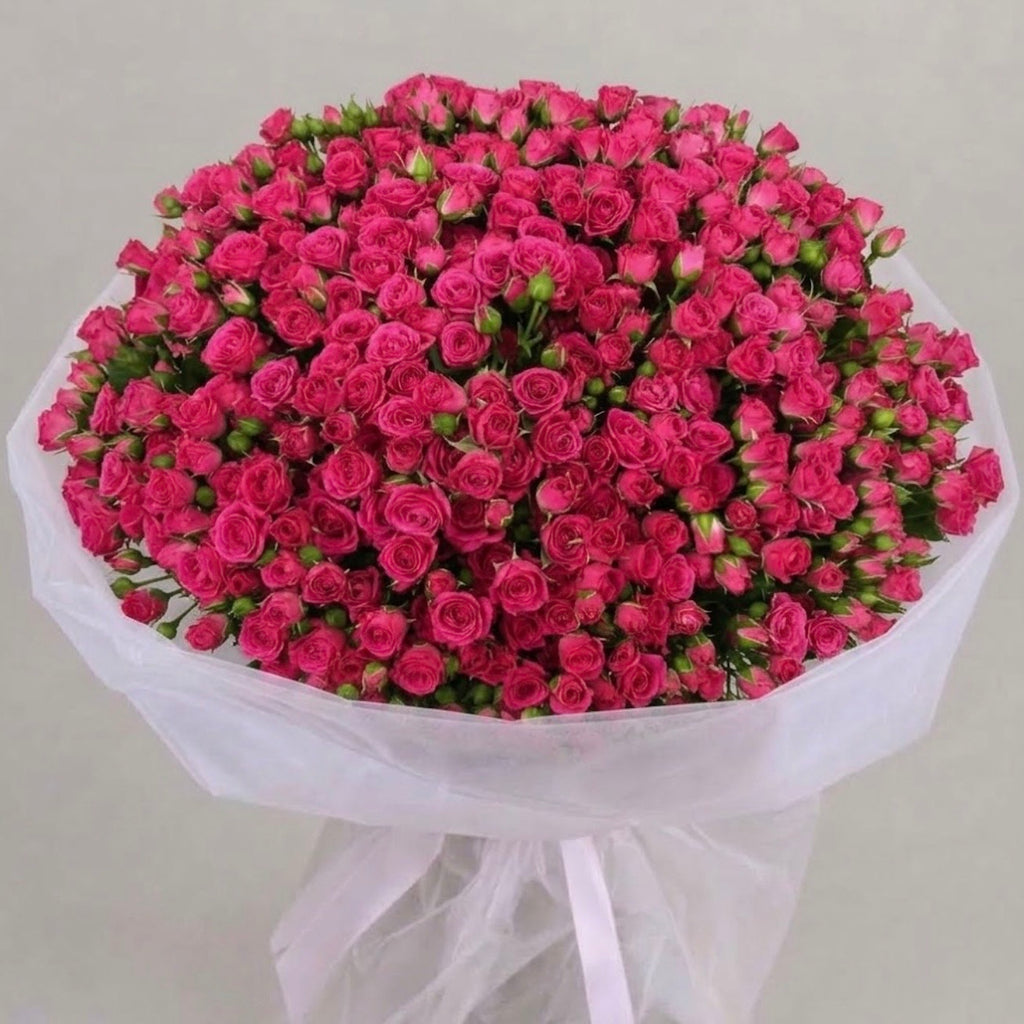 Pink Desire- Spray Roses
