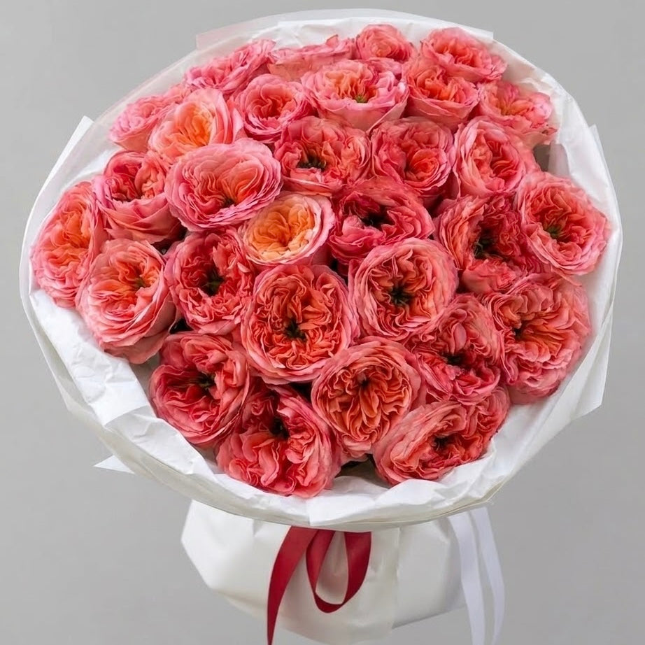 The Rosé Royale- Middleton Roses