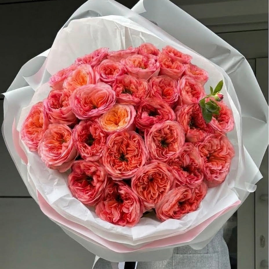 The Rosé Royale- Middleton Roses