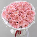 The Mayfair- Mayfield Roses
