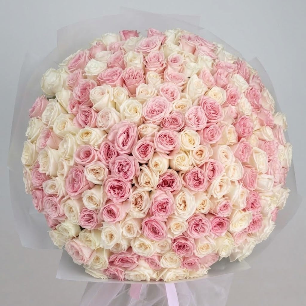 The Belgravia- White and pink roses
