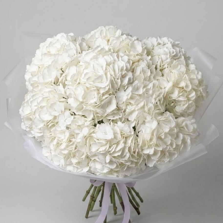 The Westminster -Ivory Hydrangeas