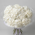 The Westminster -Ivory Hydrangeas
