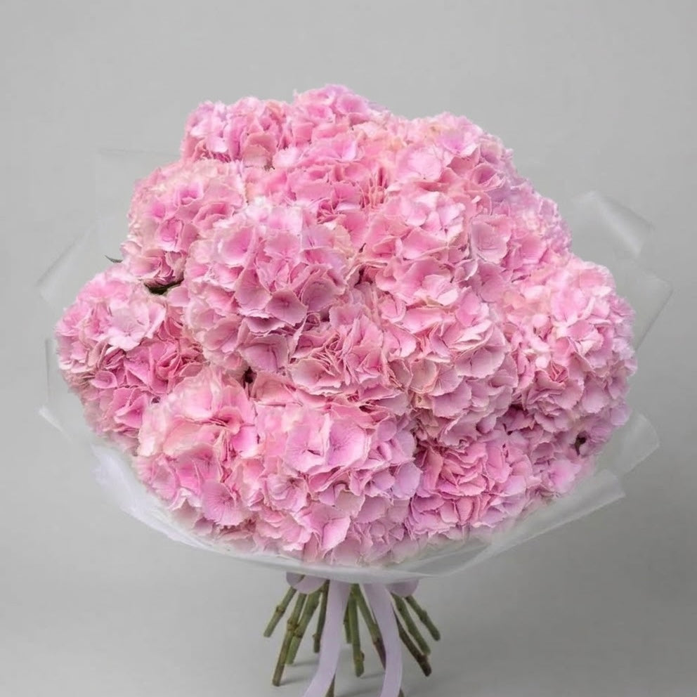 The Pink Pearl- Pink Hydrangea