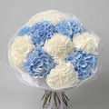 The Blue Belle- Blue & White Hydrangeas
