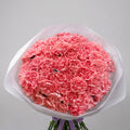 The Pink Velvet- Pink Carnations