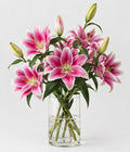 Pink Stargazer Lilium Bouquet