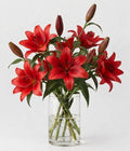 Red Asiatic Lilium Bouquet