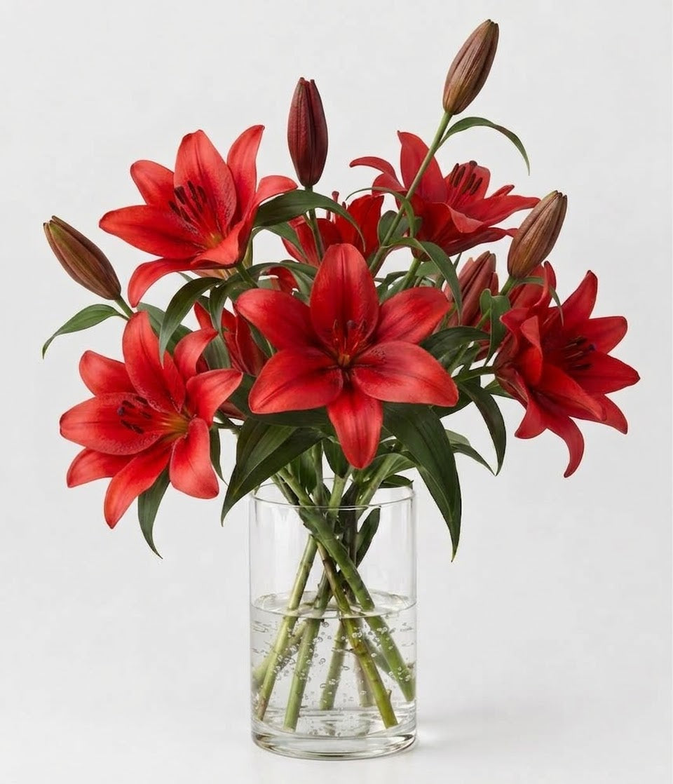 Red Asiatic Lilium Bouquet