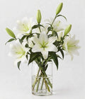 White Oriental Lilium Bouquet