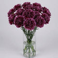Picotee Purple Carnation Bouquet