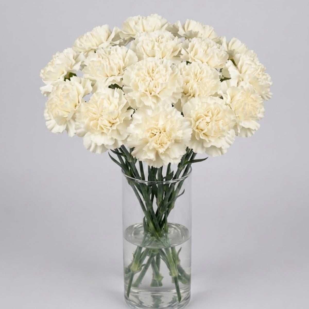 Pure Ivory Carnation Bouquet