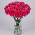 Hot Pink Carnation Bouquet