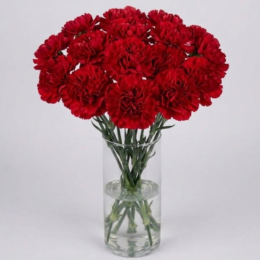Red Carnation Bouquet