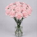 Blush Pink Carnation Bouquet