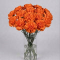 Orange Carnation Bouquet