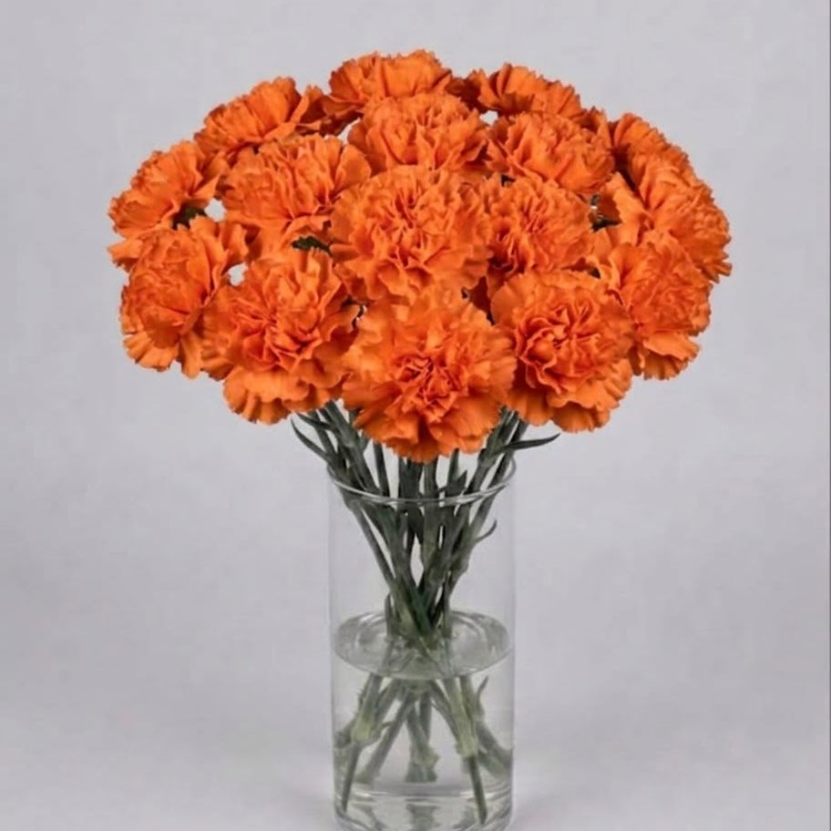 Orange Carnation Bouquet