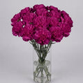 Deep Magenta Carnation Bouquet