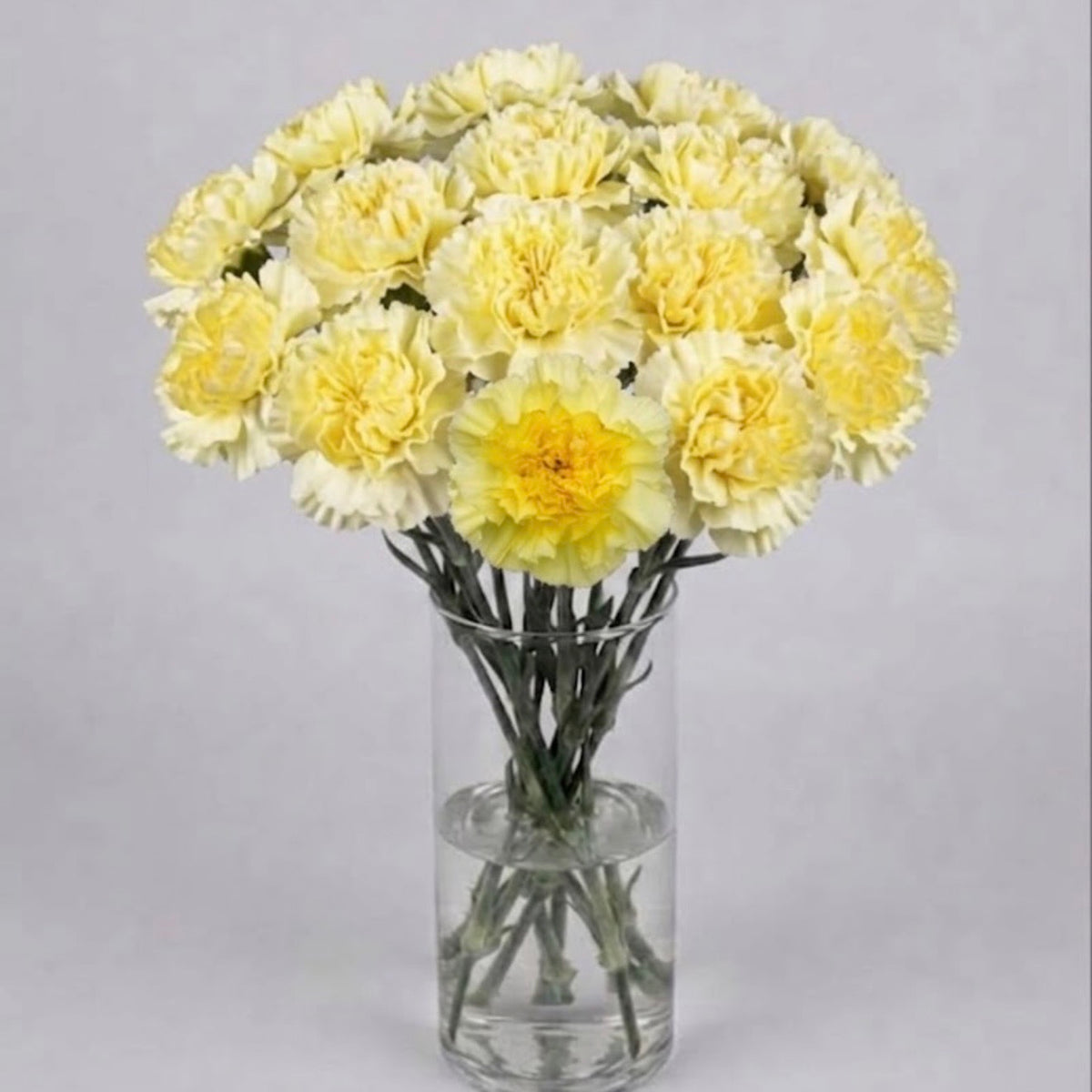 Yellow Carnation Bouquet