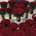 1000 Red Roses Ultimate Display