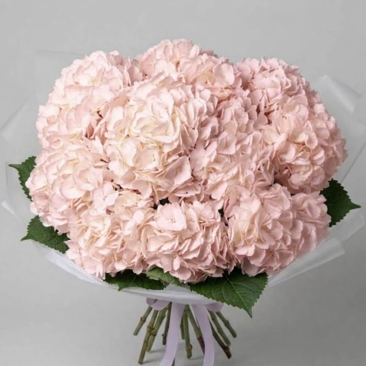 Blush Pink Hydrangea Bouquet