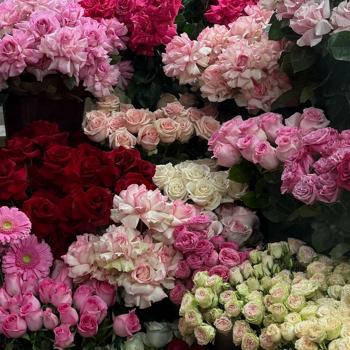The Ultimate Flower Subscription